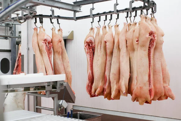 Carne Cerdo Cruda Fresca Picada Colgada Dispuesta Fila Depósito Procesamiento — Foto de Stock