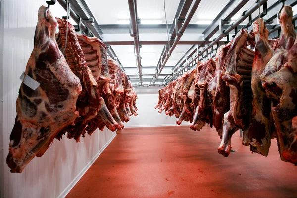 Grupo Carne Cruda Picada Colgando Organizar Procesar Depósito Almacenamiento Una — Foto de Stock