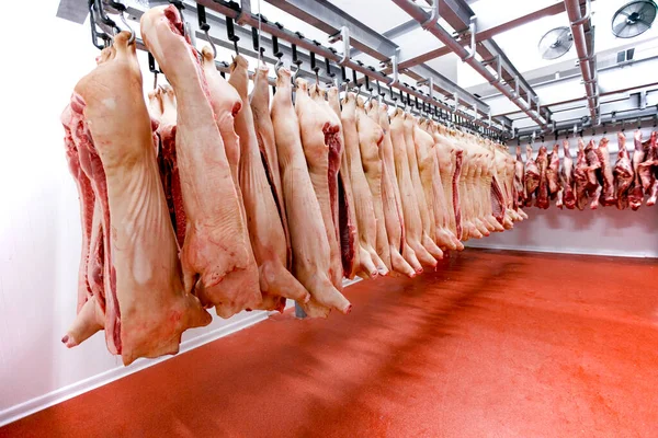 Большой Холодильник Нарезанным Сырым Мясом Свинины Выстроенный Очередь Мясной Фабрике — стоковое фото