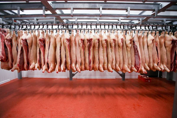 Schließen Sie Eine Menge Gehacktes Rohes Schweinefleisch Hängen Und Arrangieren — Stockfoto