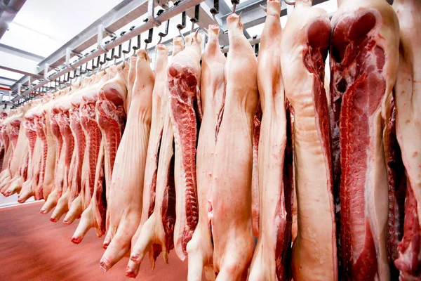 Grupo Carne Cerdo Fresca Picada Colgando Arreglada Fila Depósito Procesamiento — Foto de Stock