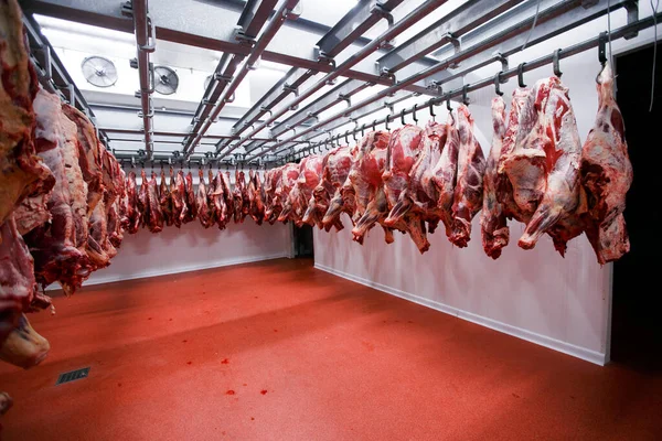 Gruppo Carne Cruda Tritata Appesa Sistemata Lavorata Deposito Una Fabbrica — Foto Stock