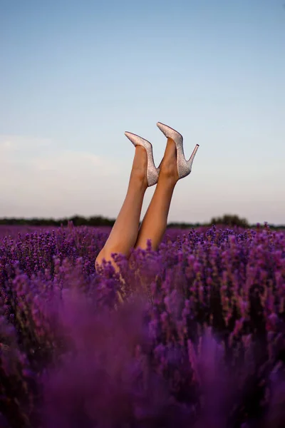 Bild eines weiblichen Model Füße tragen goldene High Heels, stehend in lila Lavendelblüte — Stockfoto