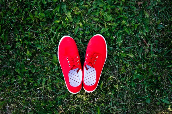 Primo piano scarpe da ginnastica di tessuto rosso del capretto su sfondo verde erba in vista dall'alto. — Foto Stock