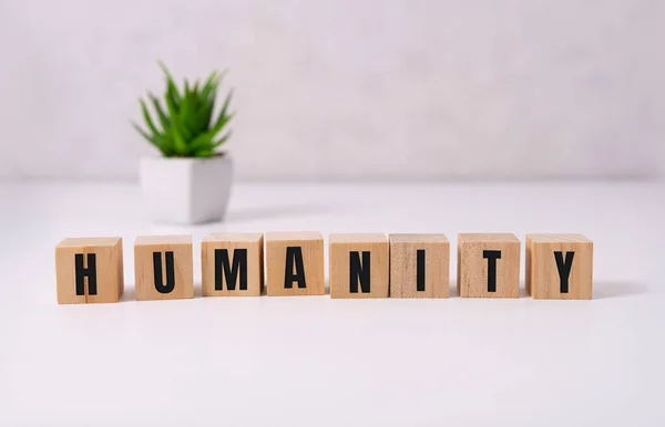 木製のブロック上の人文テキスト,最小限.人間の原理 — ストック写真