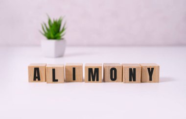 Beyaz üzerine yapı taşları ile oluşturulan ALIMONY sözcük