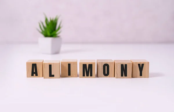 Beyaz üzerine yapı taşları ile oluşturulan ALIMONY sözcük