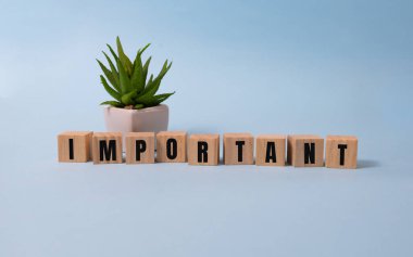 Tahta blokta önemli bir kelime yazıyor. desing, konsept için mavi üzerine önemli metin.