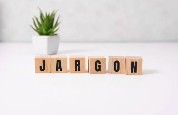 Jargon - Wort aus Holzblöcken mit Buchstaben, speziellen Wörtern und Phrasen Jargon-Konzept, Draufsicht auf weißem Hintergrund — Stockfoto