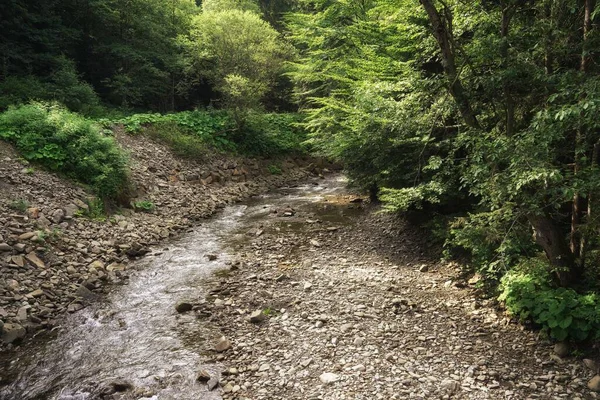 Folyómeder Egy Hegyi Folyón Nyár Gorce Napos Táj Fákkal — Stock Fotó