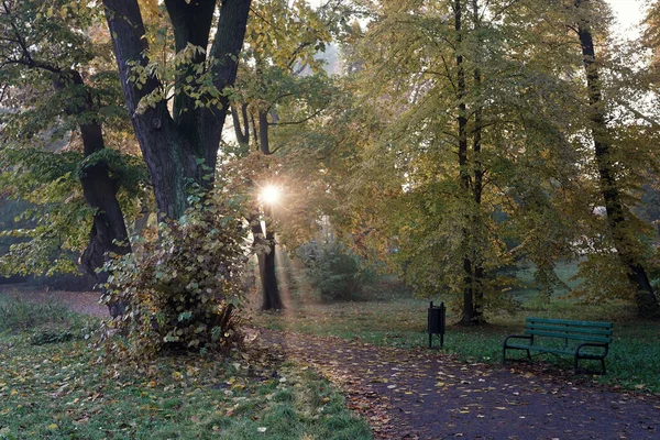 Outubro Parque Outono Nascer Sol Entre Árvores Raios Sol Brilhando — Fotografia de Stock