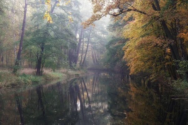 Oktobermorgen Park Leicht Nebliger Beginn Eines Sonnigen Tages Bunte Herbstbäume — Stockfoto