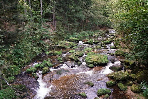 Eylül Dev Dağlar Ormanın Içinden Akan Bir Dağ Nehri Köpüren — Stok fotoğraf