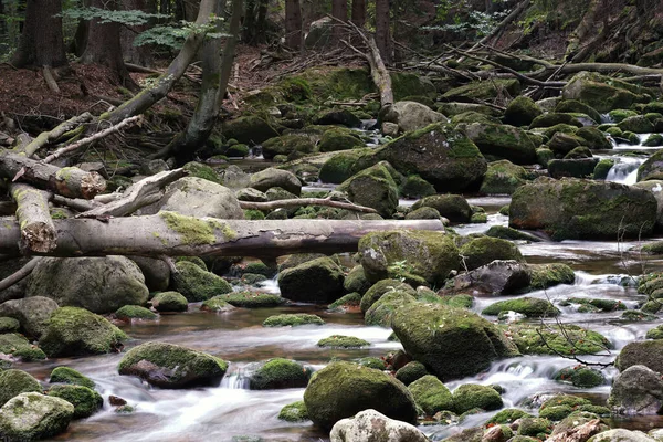 Septembre Dans Les Sudètes Ruisseau Montagne Dans Les Monts Géants — Photo