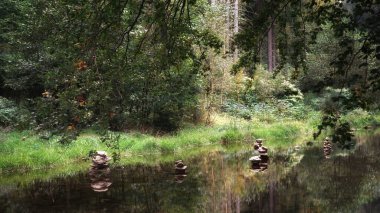 Eylül 'de Sudetes' te, nehirdeki taş yığınları, orman, ağaçlar ve sudaki yansımalar