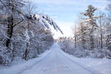 Ocak ayında Wisconsin şehir merkezinde yol ve orman karla kaplıydı.