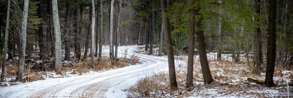 Winter gravel road through a Wausau, Wisconsin forest in January, horizontal