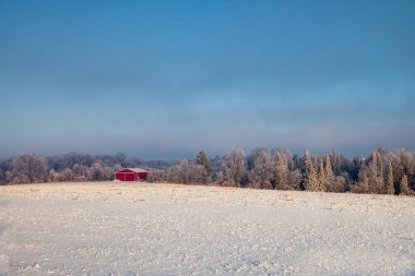 Ocak ayında Wisconsin ormanının yanındaki kırmızı bina, yatay.