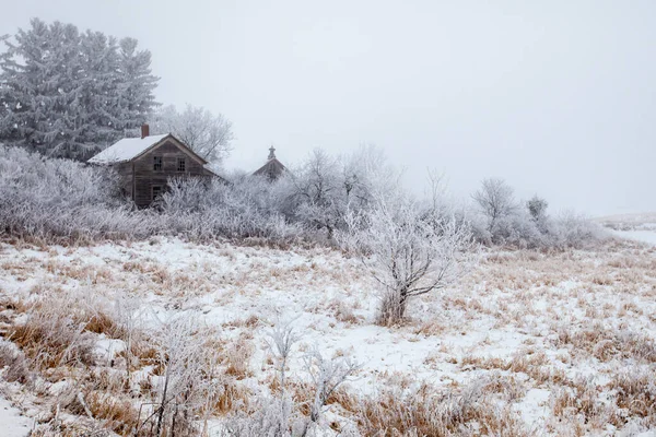 Old Abandoned House Surrounded Frost Covered Trees Bushes Horizontal — Stock Photo, Image