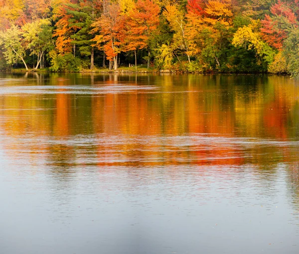 Arbres Automne Colorés Reflétant Large Rivière Wisconsin Merrill Wisconsin Septembre — Photo