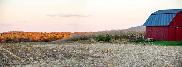 Červená Stodola Kukuřičné Pole Wisconsinský Les Podzim Panorama — Stock fotografie