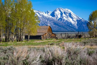 John Moulton Barn, Mormon Row Tarihi Bölgesi Grand Teton Ulusal Parkı, Wyomin, yatay