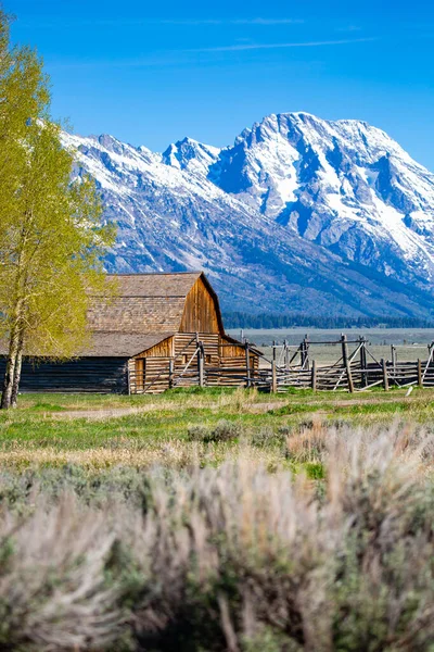 John Moulton Barn Historycznej Dzielnicy Mormon Row Parku Narodowym Grand — Zdjęcie stockowe