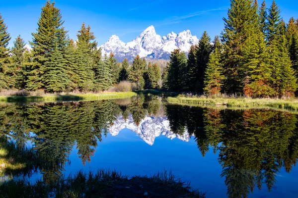 Schwabacher Landning Tidigt Morgonen Grand Teton National Park Wyoming Med — Stockfoto