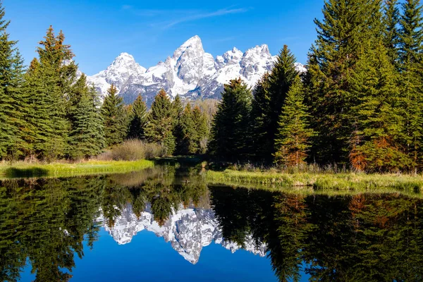 Schwabacher Landning Tidigt Morgonen Grand Teton National Park Wyoming Med — Stockfoto