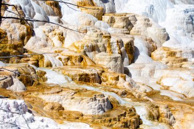 Yellowstone Ulusal Parkı 'ndaki Mamut Kaplıcaları, Wyoming, yatay