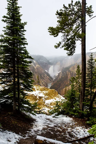 Yellowstone River Upper Falls Yellowstone National Park Artist Point Vertical — Stock Photo, Image