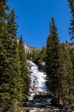 Cascade Creek 'te Saklı Şelale, Grand Teton Ulusal Parkı, Jackson Hole, Wyoming Mayıs sonunda, dikey