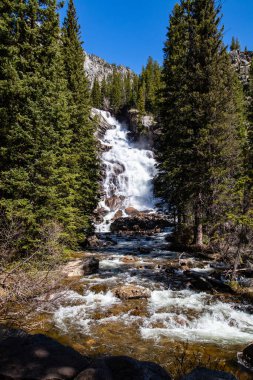 Cascade Creek 'te Saklı Şelale, Grand Teton Ulusal Parkı, Jackson Hole, Wyoming Mayıs sonunda, dikey