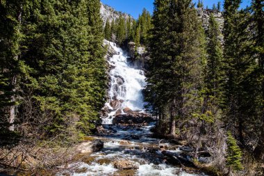 Cascade Creek 'teki Gizli Şelale Grand Teton Ulusal Parkı, Jackson Hole, Wyoming Mayıs ayı sonunda, yatay