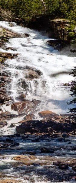 Versteckte Wasserfälle Cascade Creek Grand Teton National Park Jackson Hole — Stockfoto