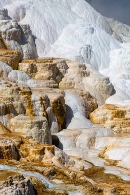 Yellowstone Ulusal Parkı 'ndaki Mamut Kaplıcaları, Wyoming, dikey