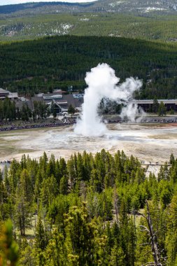 Yellowstone, Wyoming, ABD, Mayıs, 25, 2021, Yukarı Gayzer Havzası 'nda turistler Old Faithful Pupt, dikey