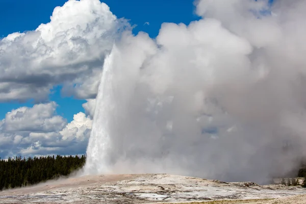 Stary Wierny Gejzer Wybuchający Wiosną Parku Narodowym Yellowstone Poziomy — Zdjęcie stockowe