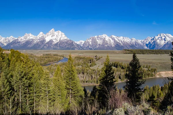 Ormflodens Utsikt Grand Tetons National Park Wyoming Usa Horisontell — Stockfoto