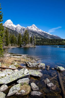 Jackson Hole, Wyoming 'deki Taggart Gölü' nün yanındaki Grand Tetons.