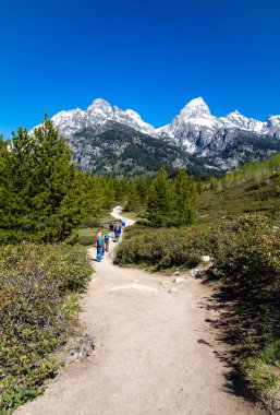 Grand Teton Ulusal Parkı, Jackson Hole, Wyoming, ABD, 31 Mayıs 2021, Taggart Gölü 'nden gelen yürüyüş grubu,