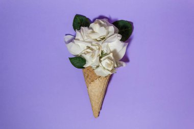 Mor arka planda waffle külahında dondurma yerine bir buket beyaz gül. Yaratıcı minimalizm.