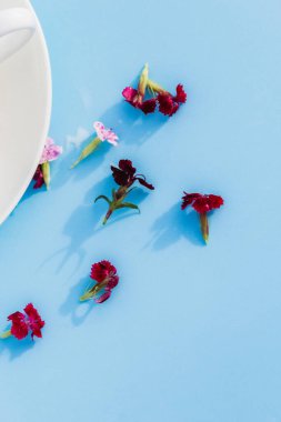 Mavi arka planda vejetaryen sütü ve çiçekli beyaz kupa. Vejetaryen içecek ve yiyecek kavramı, bitki çayı, güzellik ve sağlık, spa.