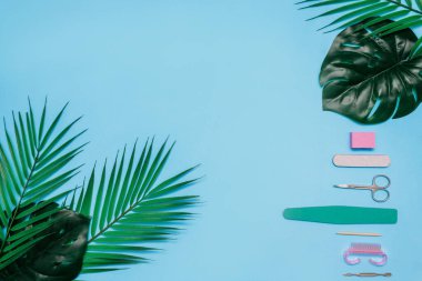 Mavi arka plandaki manikür aletleri yeşil canavar yaprakları ve palmiye ağaçları ile süslenmiştir. Güzellik kavramı. kopyalama alanı. en üstteki görünüm.