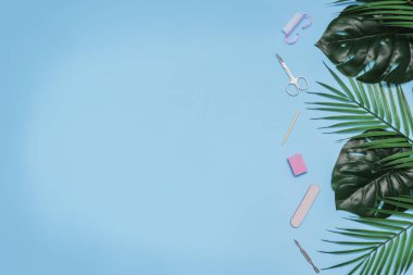 Mavi arka plandaki manikür aletleri yeşil canavar yaprakları ve palmiye ağaçları ile süslenmiştir. Güzellik kavramı. kopyalama alanı. en üstteki görünüm.