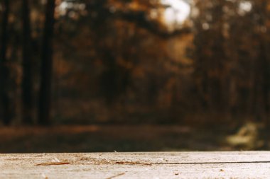 Boş bir ahşap masa ve arka planda odaklanmamış bir sonbahar ormanı. Ürün gösterimi için harika.