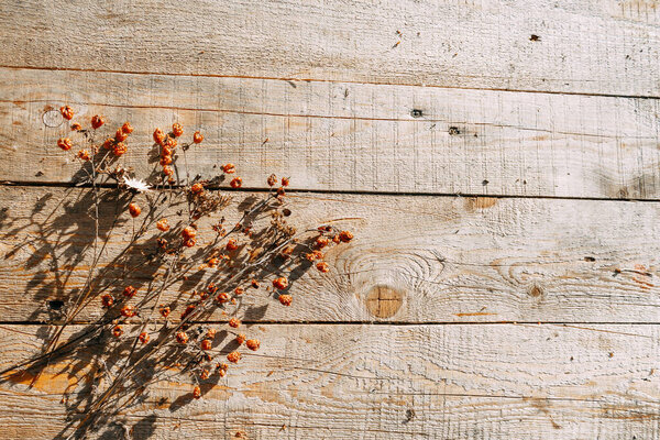 Dried flowers are lying on a wooden table. Autumn dry herbs lie on the table under the rays of the sun. Copy Space.