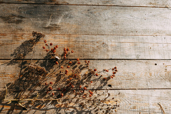 Dried flowers are lying on a wooden table. Autumn dry herbs lie on the table under the rays of the sun. Copy Space.