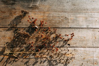 Kurumuş çiçekler ahşap bir masanın üzerinde yatıyor. Sonbahar kuru otları güneş ışınlarının altında masanın üzerinde yatar. Boşluğu Kopyala.