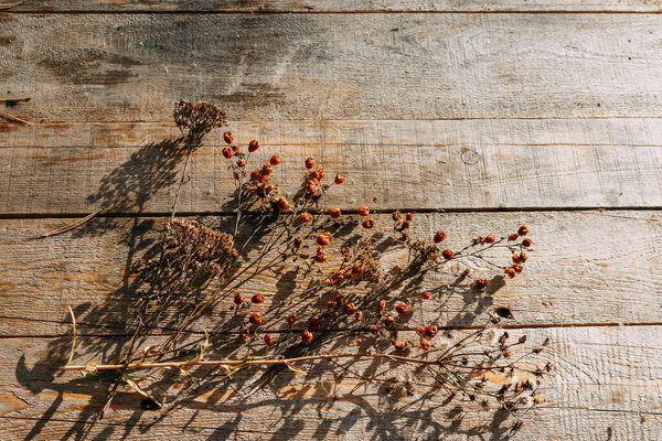 Dried flowers are lying on a wooden table. Autumn dry herbs under the rays of the sun lie on the table. Copy Space.